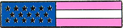 Enameled U.S. Flag Lapel Pin